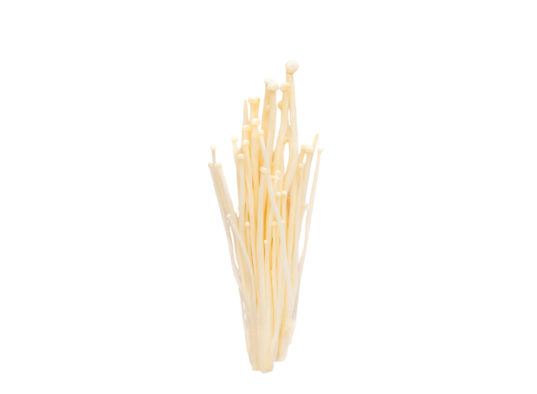 Enoki
